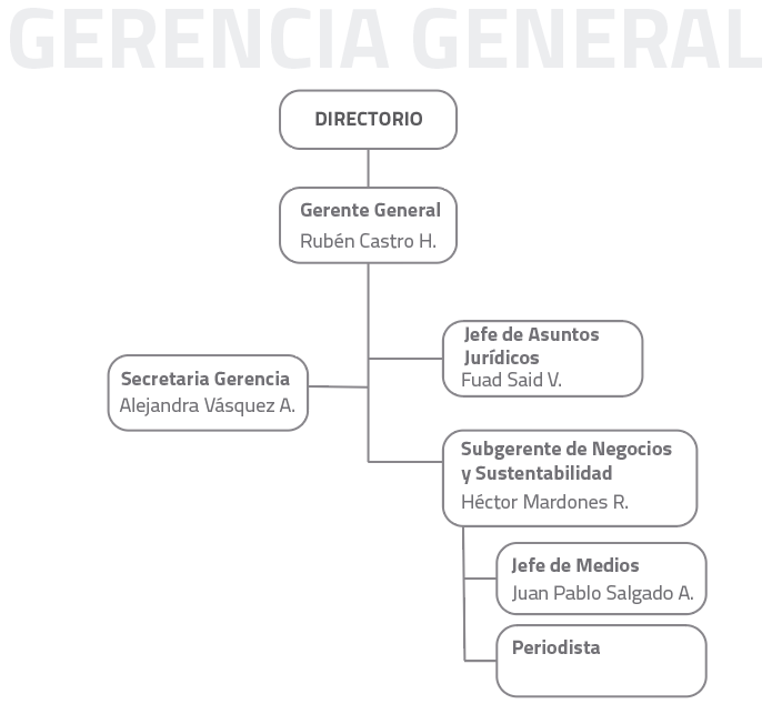 Estructura Organica De La Empresa Puerto Iquique