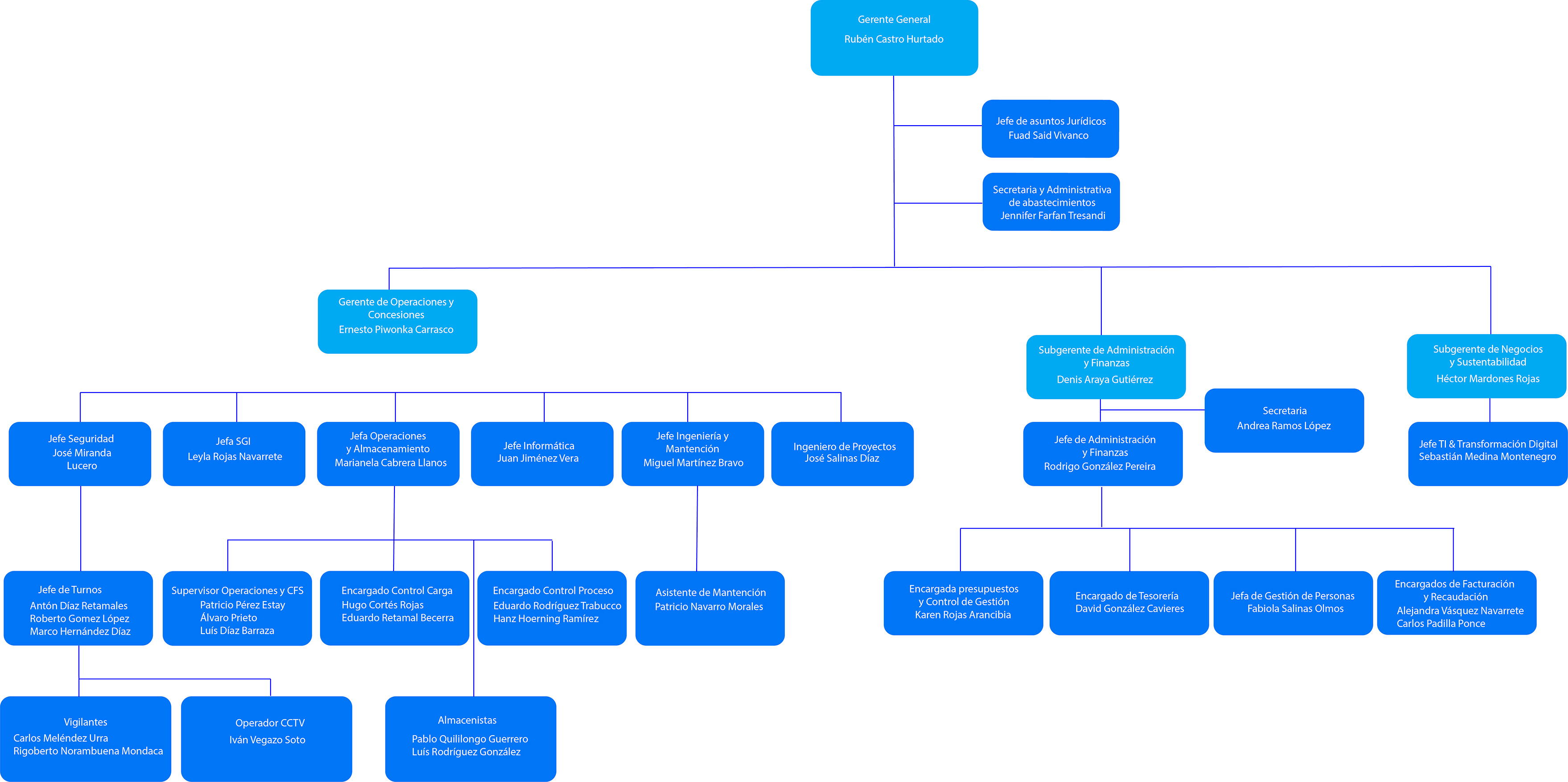 Estructura Organica De Una Empresa 2623