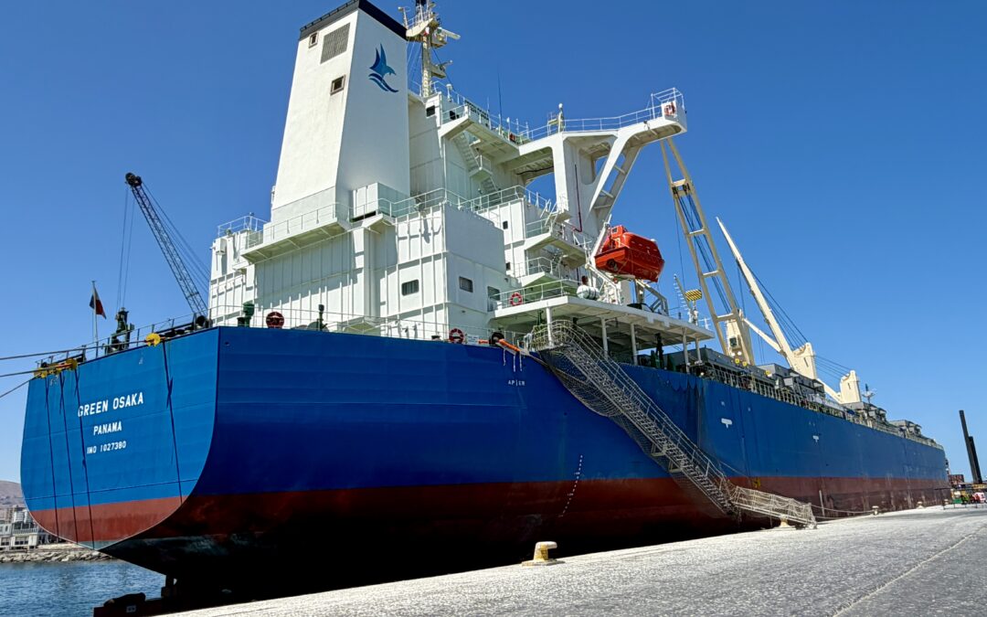 Puerto de Iquique consolida nueva operación logística con destino al noroeste argentino